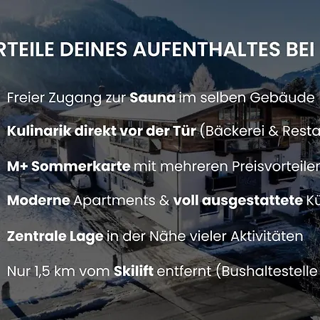 Ours Living Kitzbueheler Alpen - Inkl Sauna Und Sommerkarte * Hollersbach im Pinzgau